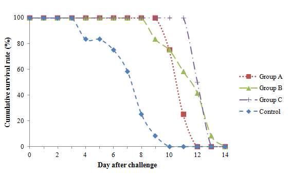 Cumulative survival rate of juvenile olive flounder of four groups after challenge with S.iniae