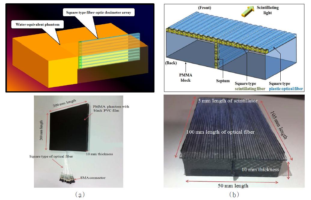 정방형 광섬유 방사선량계를 배열하여 제작한 팬텀 선량계 ((a) 1차원 광섬유 팬텀선량계, (b) T자형 광섬유 팬텀선량계)