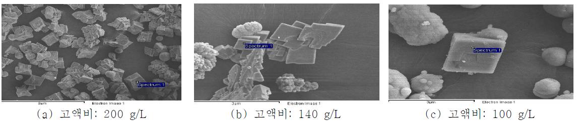 다양한 고액비 조건에서 이산화탄소 주입 후 생성된 침전물(탄산칼슘)의 SEM분석결과