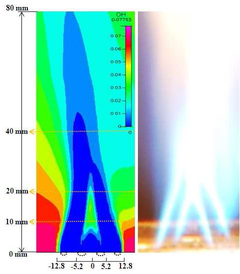 Calculated OH radical field in combustion instability regionⅠ (Test NO. 21)