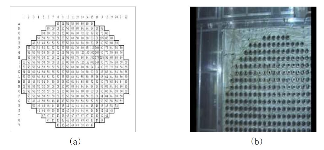 그림 3-66. 중수로 연료관 배치도(a)와 실제 연료관 모습(b).