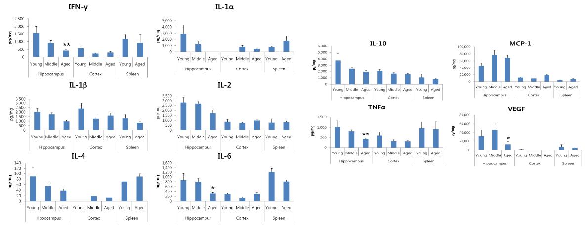 연령별 쥐의 해마에서 cytokine 발현 정도를 multiplex luminex assay를 통해 확인함.