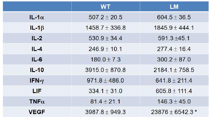 WT과 LM mice의 해마에서cytokine 발현 변화 관찰.