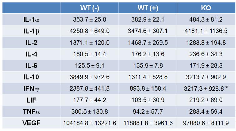 WT과 KO mice의 해마에서 cytokine 발현 변화 관찰.