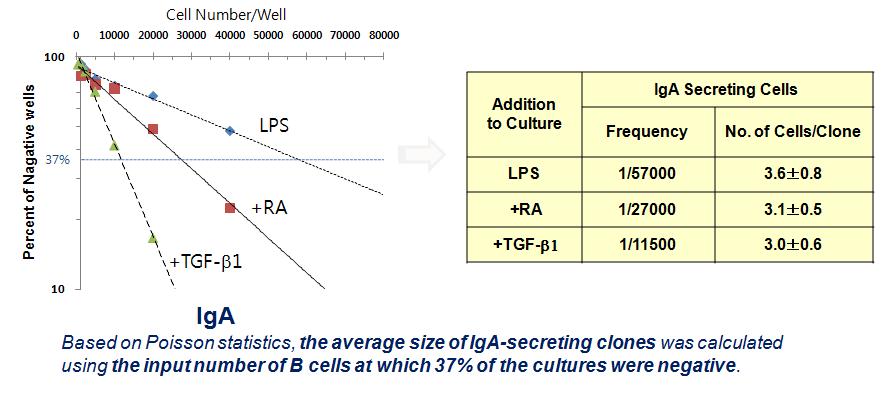 제한희석법 (limiting dilution)에 의한 B cell 클론 빈도 조사.