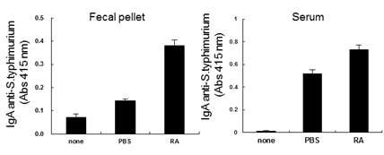 Salmonella typhimurium 접종 마우스 모델에서 RA의 점막면역증강 효과