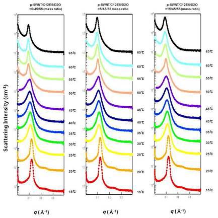 p-SWNT/C12E5/D2O 시스템의 조성비와 온도에 따른 소각중성자산란 패턴