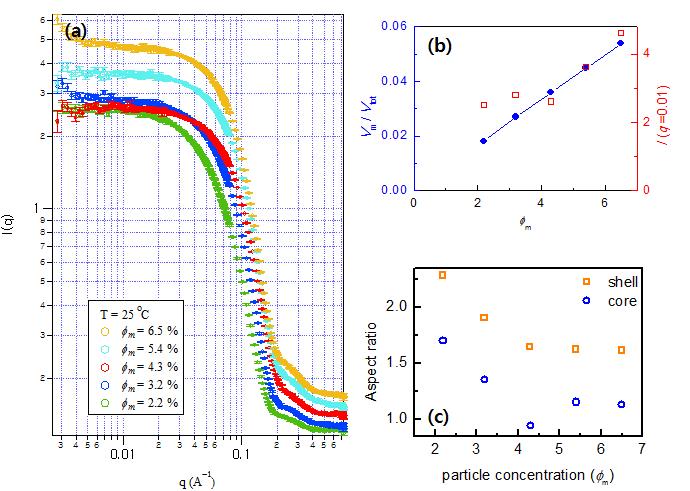 (a) 구조체의 농도(φm)에 따른 산란 데이터, (b) (파란색) 구조체 부피 밀도 (particle volume density), (붉은색) q=0.01에서의 농도에 따른 산란양 변화 그래프, (c) prolate fitting 결과에 따른 aspect ratio 변화 그래프.