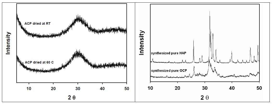 이번연구에서 합성한 ACP, OCP 그리고 HAP의 XRD 분석결과