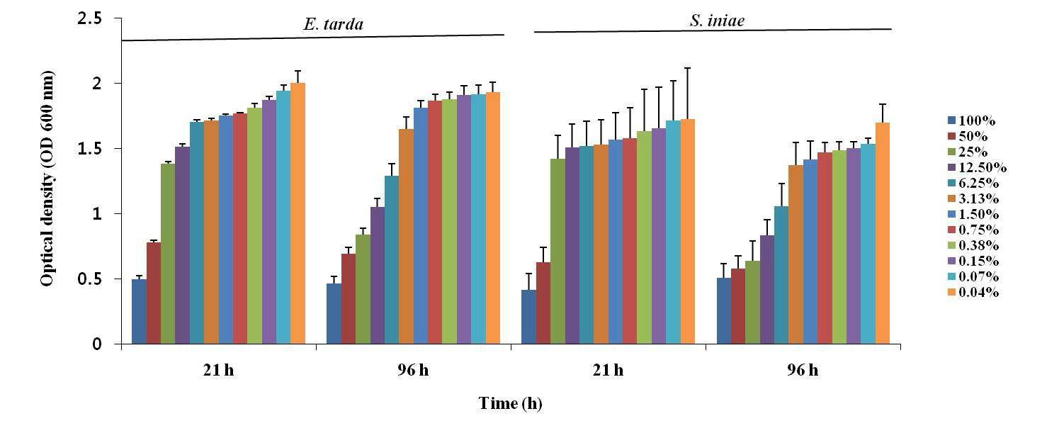 Antibacterial activity of L. pentosus PL11 supernatant against E. tarda and S. iniae strains on media.