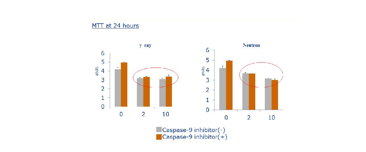 MTT results of DU-145 cell line after irradiation