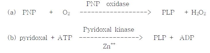 PLP 합성과정