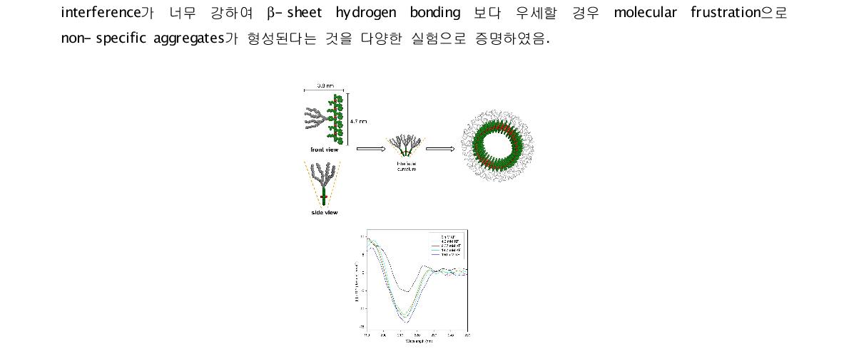 Nanoring 형성