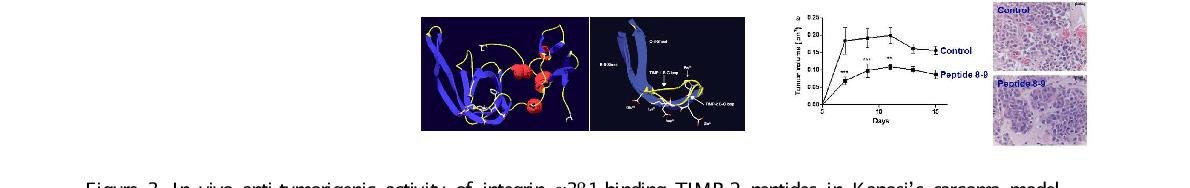 In vivo anti-tumorigenic activity of integrin α3β1-binding TIMP-2 peptides in Kaposi’s sarcoma model