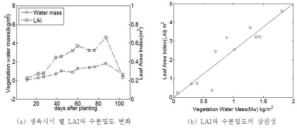생육시기 별 식물의 LAI와 수분밀도의 변화 비교
