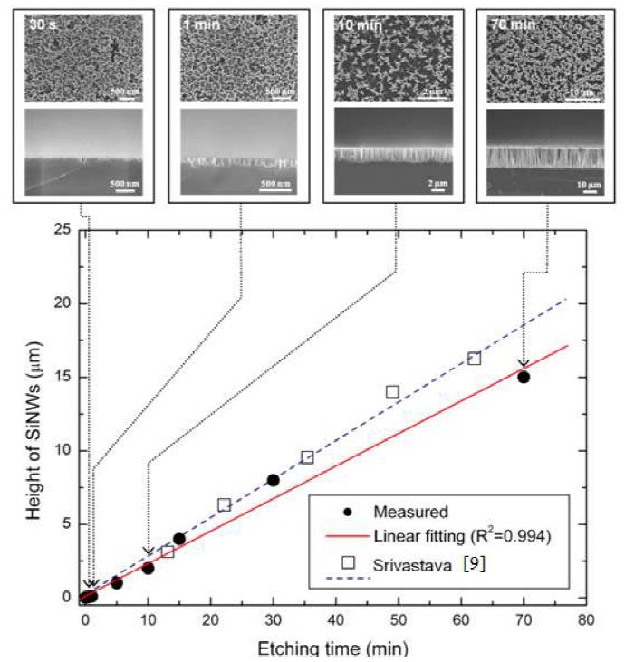 상온 조건에서 식각 시간에 따른 실리콘 나노선 다발의 높이 측정 결과 및 비교 [9]