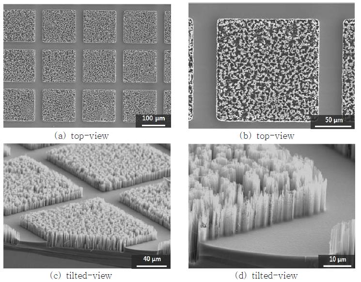 마 이 크 로 (c )패 t턴ilt의ed -bvaierwrier-structure가 남 지 않 은 경 우(d(패) t턴ilt e폭d- v1i0ew0 μm, 간격 20 μm) [11]