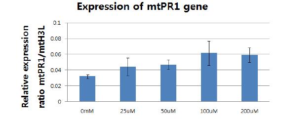 SNP 처리후 MtPR1 유전자의 발현 증가