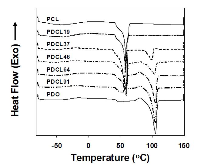 합성된 PDCL 공중합체의 DO/CL 비율에 따른 열적 거동 (DSC).