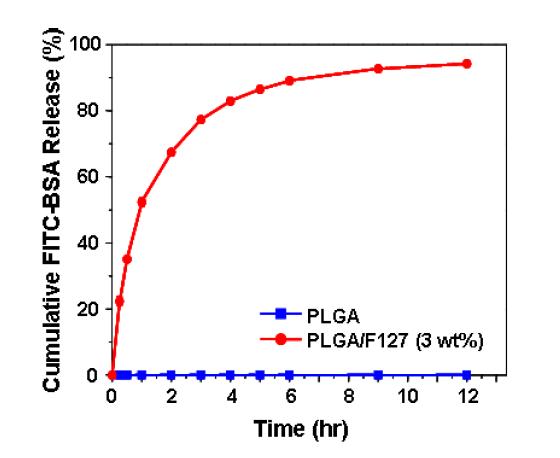 FITC-BSA의 PLGA 및 PLGA/Pluronic F127 신경유도관을 통한 방출 거동.