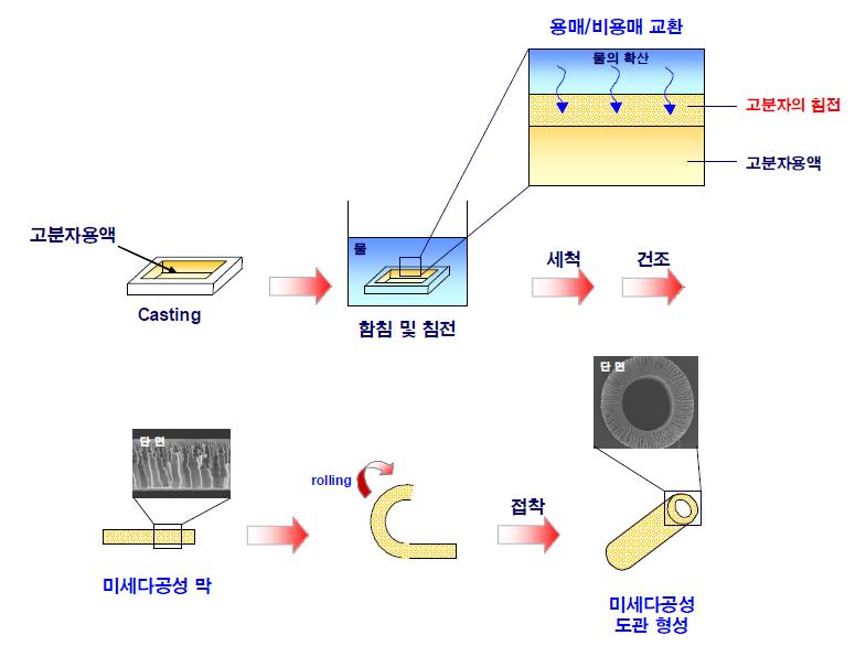 함침/침전법에 의한 비대칭성 다공구조를 가지는 미세다공성 막 및 신경유도관 제조과정.