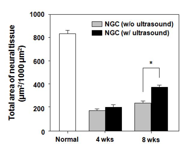 신경유도관/초음파 자극을 통해 재생된 신경 조직의 면적 비교.