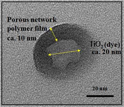 소수성 고분자 박막이 도입된 TiO2 나노입자 TEM 사진.