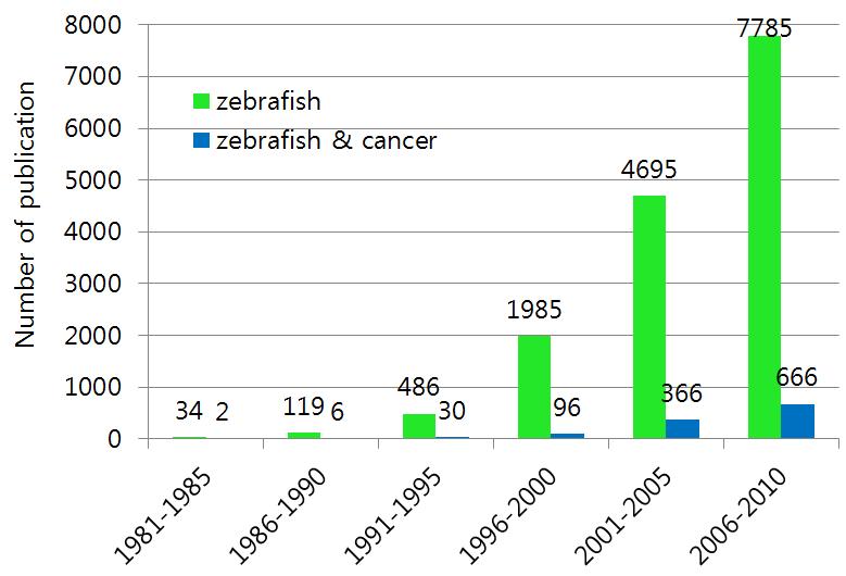제브라피쉬 모델의 특성과 논문 발표 건수.