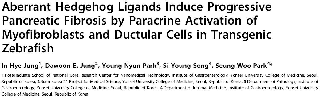 제브라피쉬 췌장 섬유화 모델. PlosOne, 2011.