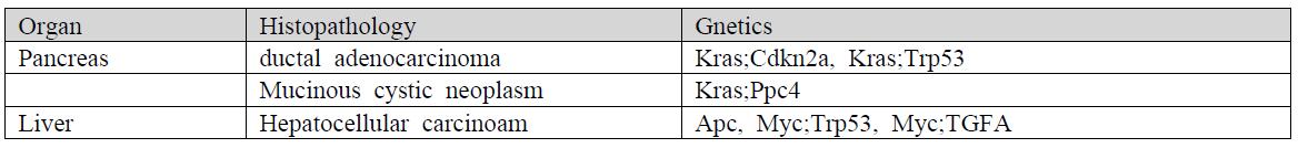췌장암 및 간암의 백서모델