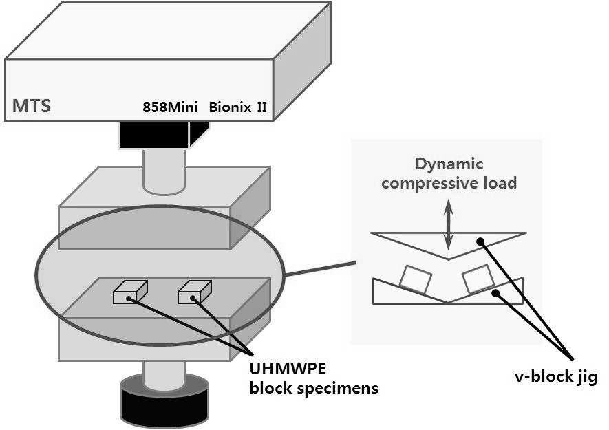 만능시험기 (MTS858 Bionix)를 이용한 마찰력을 반영한 동적 압축 크리프 실험 모식도