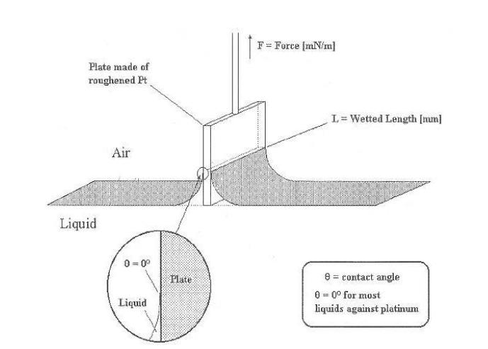 Principle of Wihelmy plate method.