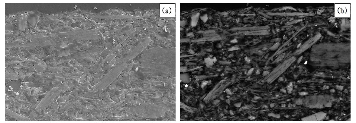 FE-SEM micrograph of coating layer cross section which was made using grinding & polishing method.