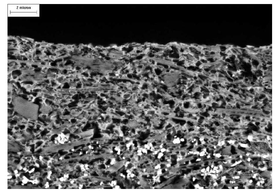 BEI-mode FE-SEM micrograph of coating layer cross section.