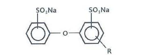 Molecular structure of surfactant A