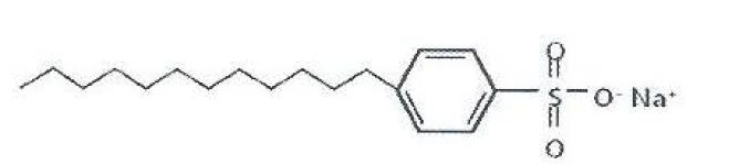 Molecular structure of surfactant B