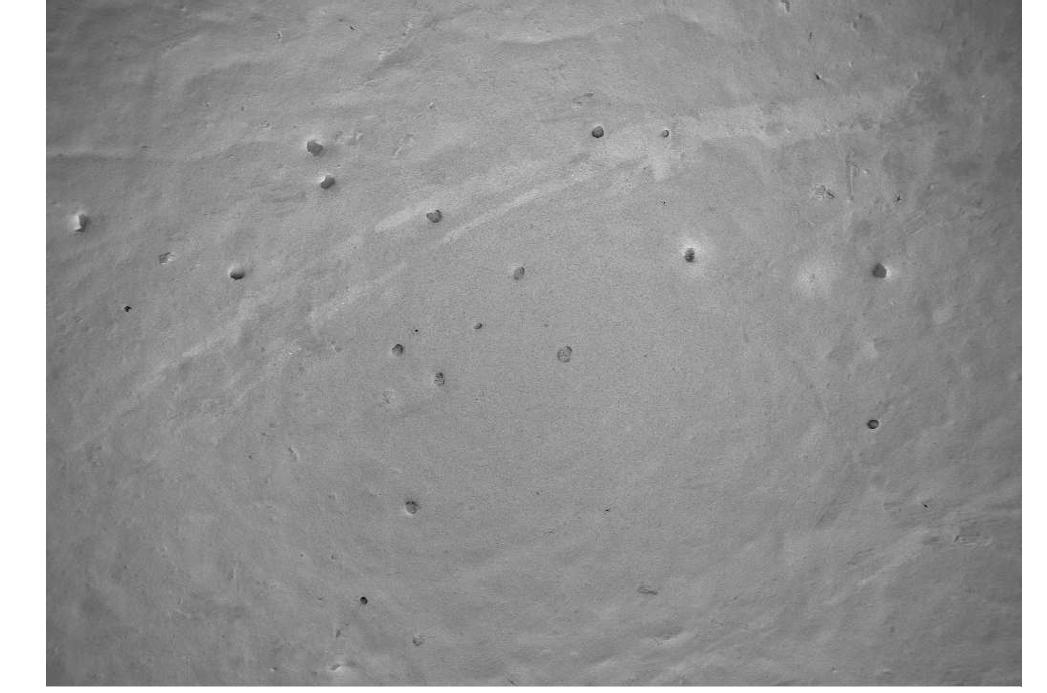 FE-SEM micrograph of curtain coated linerboard surface.