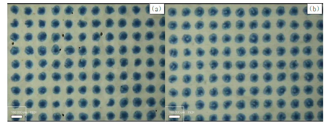 Optical micrograph of flexo printed coated linerboard