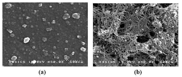 (a) pTTCA, (b) pTTCA/MWCNT가 고정화 된 유리질탄소전극 표면의 SEM 이미지