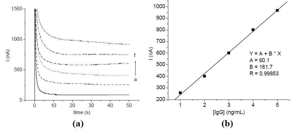 (a) GC/ pTTCA/MWCNT/anti-IgG/IgG/Ab2-MWCNT-hydrazine immunosensor의 감응 곡선. IgG의 농도는 0, 1.0, 2.0, 3.0, 4.0, 5.0 ng/mL (from a to f), (b) IgG 검출 분석