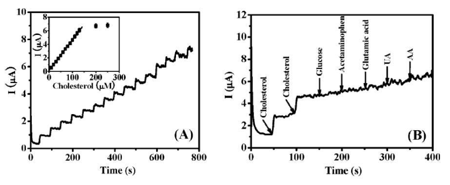 (A) ChOx/MP/AuNPs-GSH/PDATT 전극을 이용한 amperometric 감응 곡선, (B) 20 mM cholesterol and 1.0 mM of glucose, acetaminophen, glutamic acid, UA, and AA의 amperometric 감응 곡선.