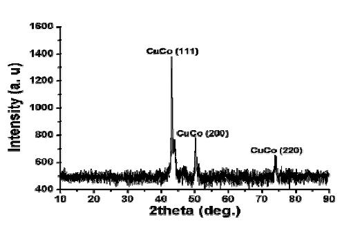 합성된 CuCo dendritic 물질 (인가 전위 -0.8 V)의 XRD 패턴