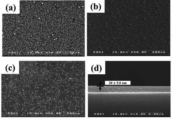 (a) AuNPs/GC, (b) polyDAN/GC, (c) polyDAN/AuNPs/GC, (d) polyDAN/GC 전극의 두께를 나타낸 SEM 이미지.
