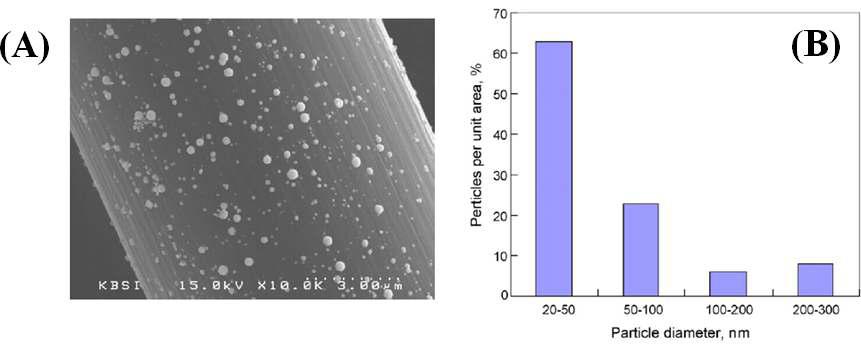(A)탄소 섬유 전극에 전착된 백금 나노입자의 SEM 이미지.(B)탄소 섬유 전극에 전착된 백금 나노입자 크기별 분포도.