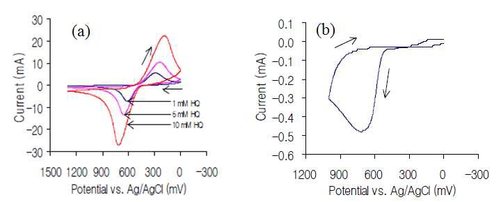 (a) 하이드로 퀴논의 순환전류전압 곡선, (b)페놀의 순환전류전압 곡선