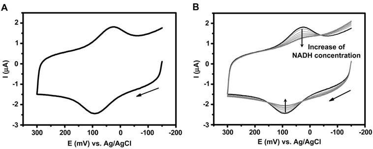 (A) DOPE+UQ10/polyTTCA/AuNPs/SPC 전극의 cyt c의 순환전류전압곡선. (B) NADH (0.0 ~ 5.0 mM)의 농도에서 순환전류전압 곡선.