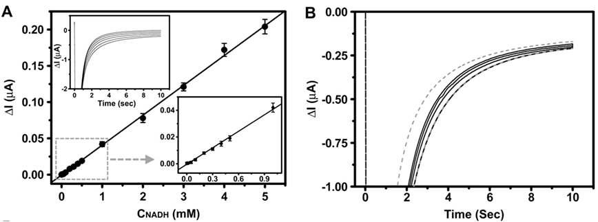 (A) NADH 농도, (B)실제 세포 시료를 측정한 시간대전류법 곡선.