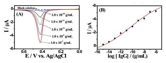 (A) Ag(Ι)-Cys complex를 이용한 IgG 면역센서의 은벗김전류반응. (B) Ag(Ι)-Cys complex를 이용한 IgG 면역센서의 표준곡선.