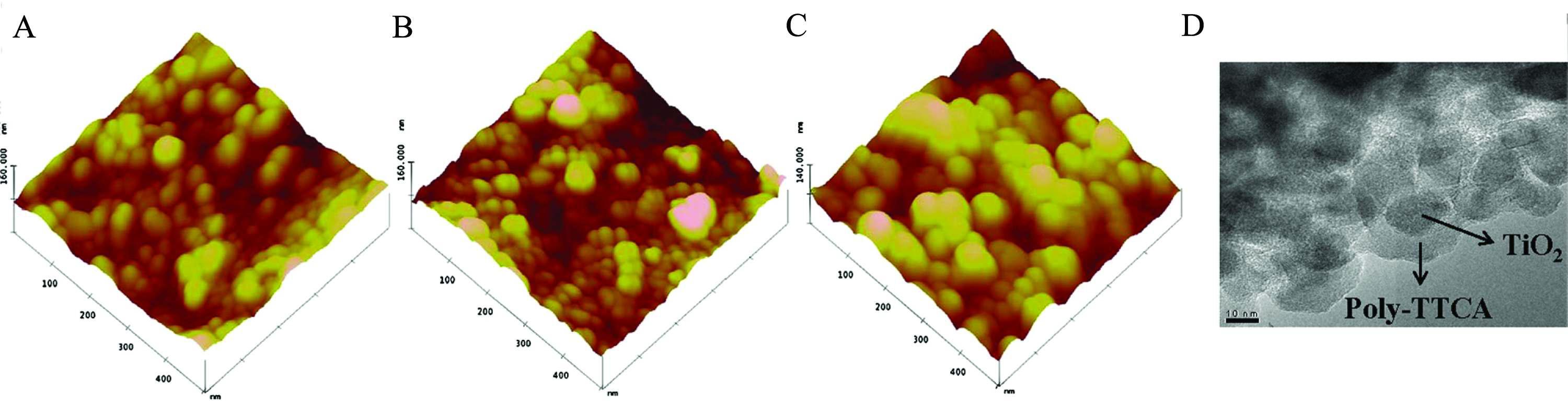 (A) poly-DATT/TiCl4/TiO2, (B) poly-CTT/TiCl4/TiO2, (C) poly-TTCA/TiCl4/TiO2의 AFM 사진. (D) TiO2 입자 주위에 poly-TTCA가 형성된 TEM 사진.