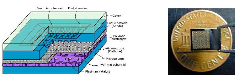 DMFC, Rugged electrodes with microcolumns, 한국과학연구원